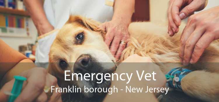 Emergency Vet Franklin borough - New Jersey