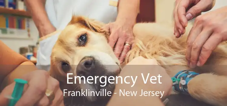 Emergency Vet Franklinville - New Jersey