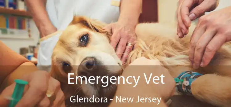 Emergency Vet Glendora - New Jersey