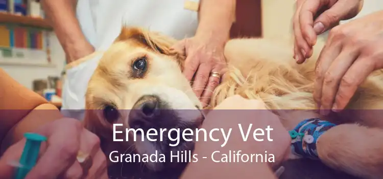 Emergency Vet Granada Hills - California