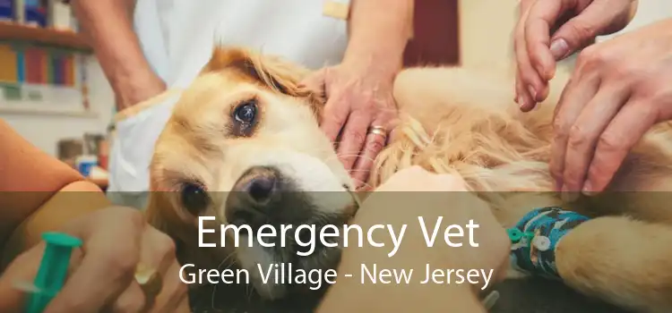 Emergency Vet Green Village - New Jersey