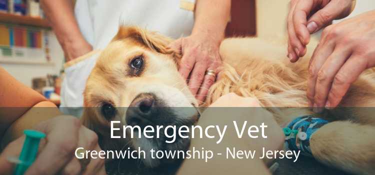 Emergency Vet Greenwich township - New Jersey