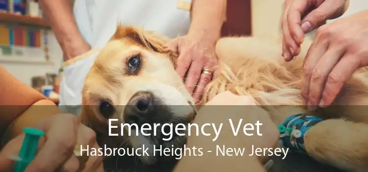 Emergency Vet Hasbrouck Heights - New Jersey