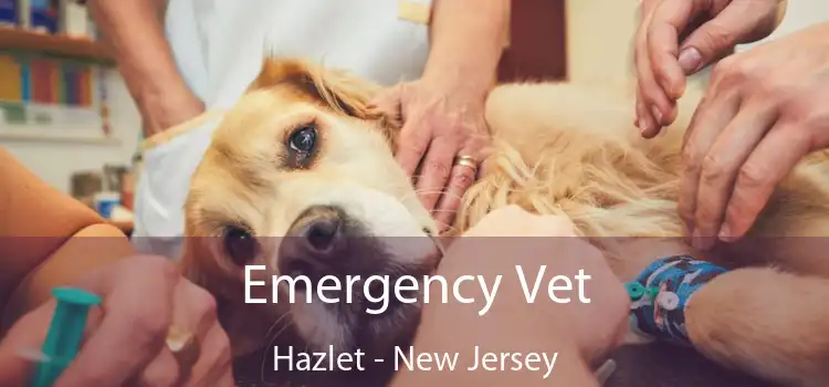 Emergency Vet Hazlet - New Jersey