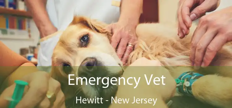 Emergency Vet Hewitt - New Jersey