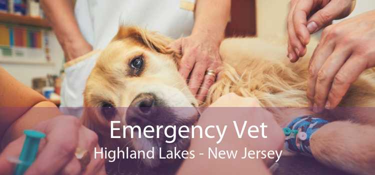 Emergency Vet Highland Lakes - New Jersey