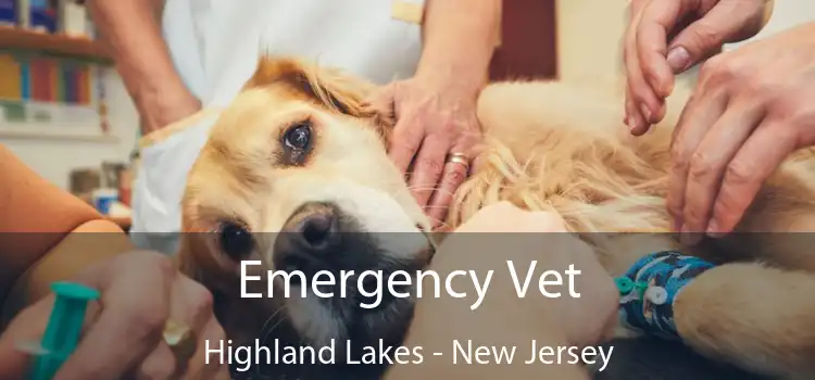 Emergency Vet Highland Lakes - New Jersey