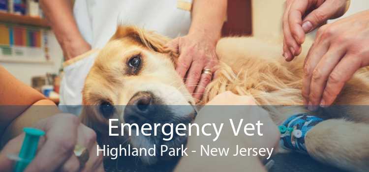 Emergency Vet Highland Park - New Jersey