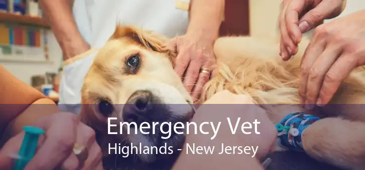 Emergency Vet Highlands - New Jersey