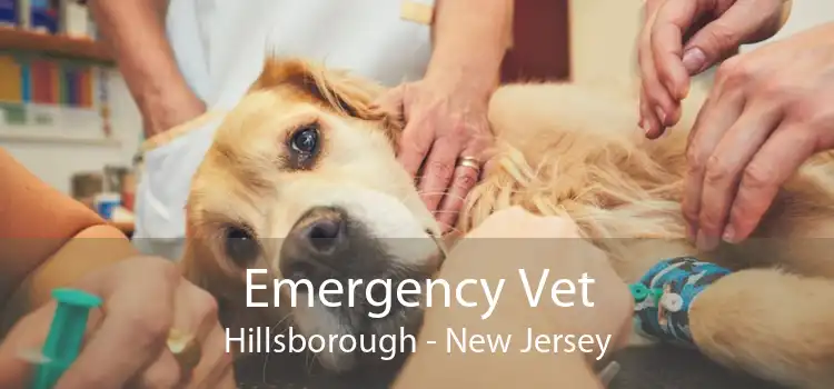Emergency Vet Hillsborough - New Jersey