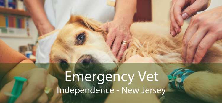 Emergency Vet Independence - New Jersey
