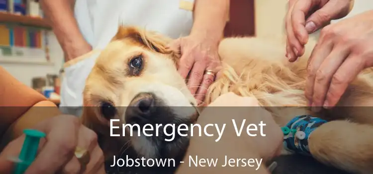 Emergency Vet Jobstown - New Jersey