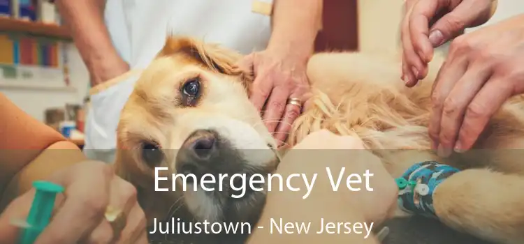 Emergency Vet Juliustown - New Jersey