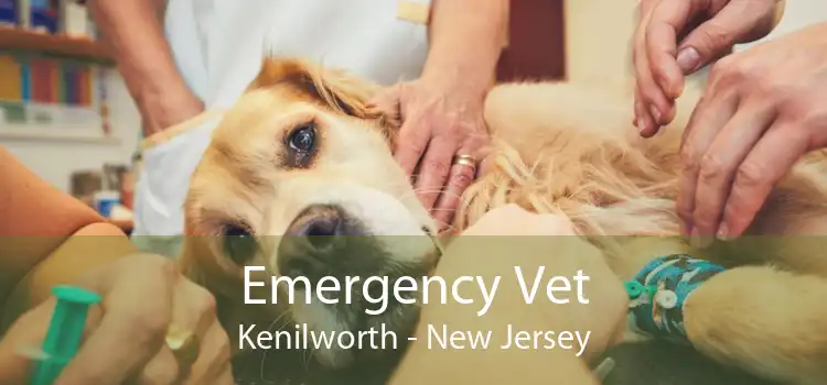 Emergency Vet Kenilworth - New Jersey