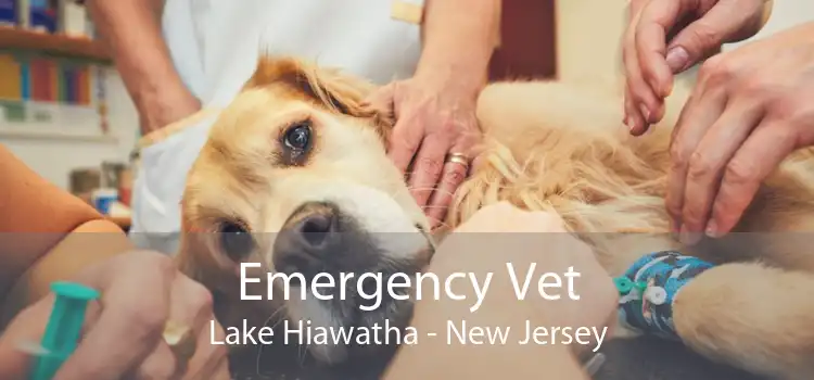 Emergency Vet Lake Hiawatha - New Jersey