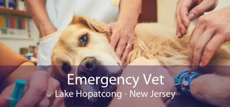 Emergency Vet Lake Hopatcong - New Jersey