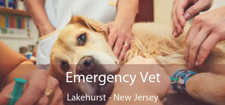 Emergency Vet Lakehurst - New Jersey