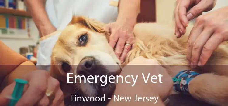 Emergency Vet Linwood - New Jersey