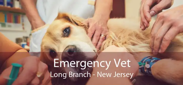 Emergency Vet Long Branch - New Jersey