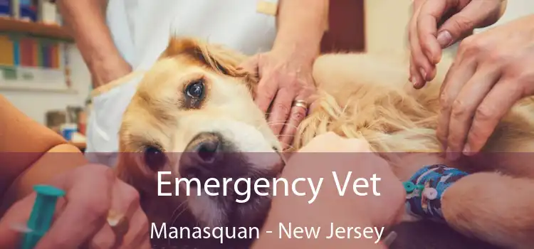 Emergency Vet Manasquan - New Jersey