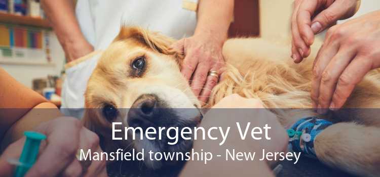 Emergency Vet Mansfield township - New Jersey