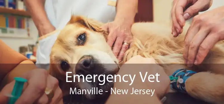 Emergency Vet Manville - New Jersey