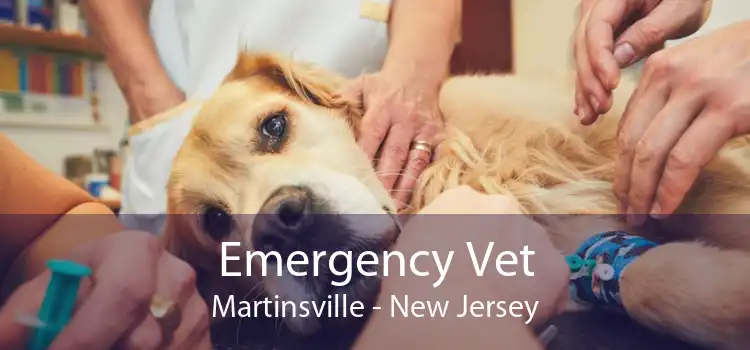 Emergency Vet Martinsville - New Jersey