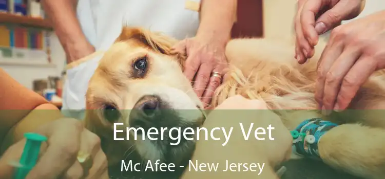 Emergency Vet Mc Afee - New Jersey