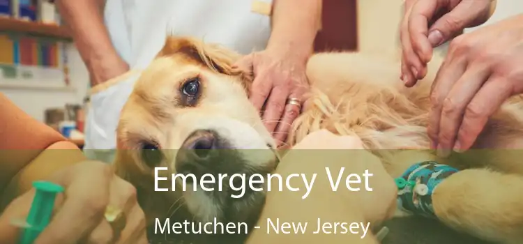 Emergency Vet Metuchen - New Jersey