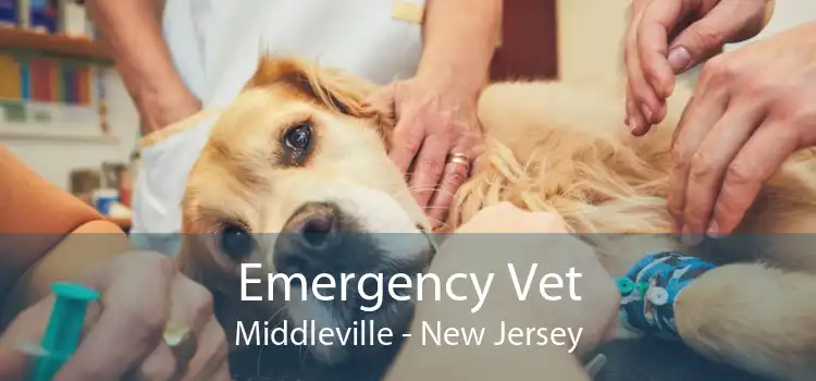 Emergency Vet Middleville - New Jersey