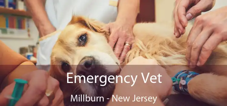 Emergency Vet Millburn - New Jersey