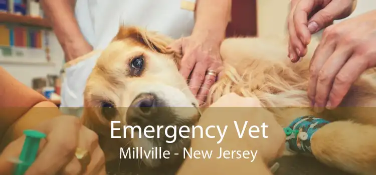 Emergency Vet Millville - New Jersey