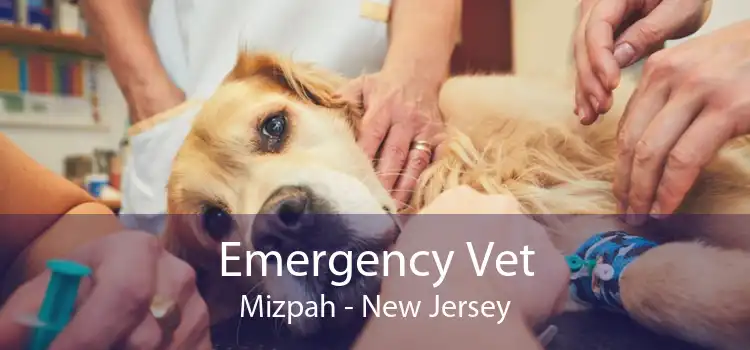 Emergency Vet Mizpah - New Jersey