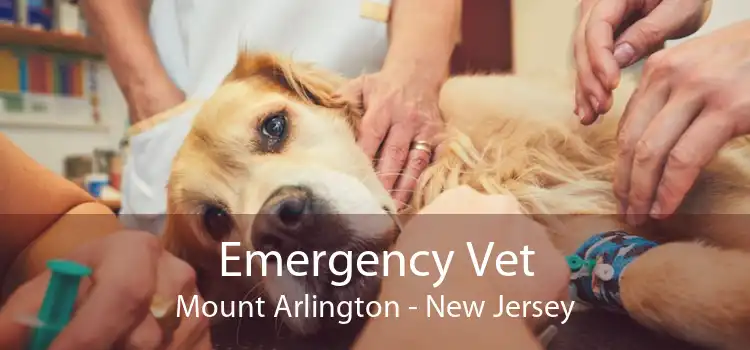 Emergency Vet Mount Arlington - New Jersey