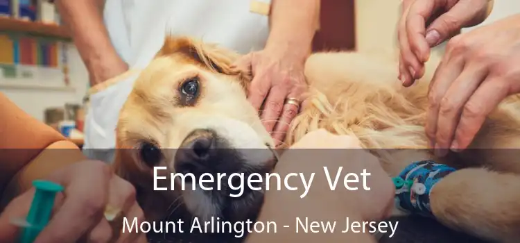 Emergency Vet Mount Arlington - New Jersey