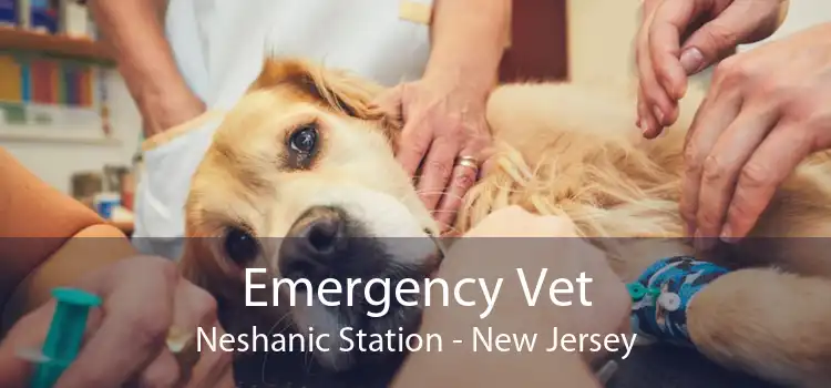 Emergency Vet Neshanic Station - New Jersey