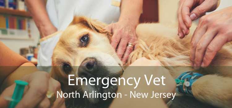 Emergency Vet North Arlington - New Jersey