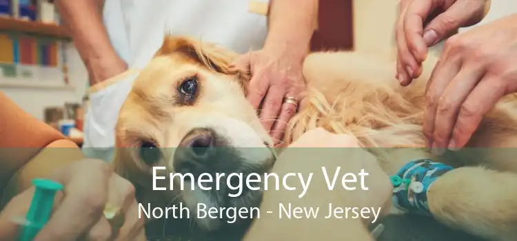 Emergency Vet North Bergen - New Jersey