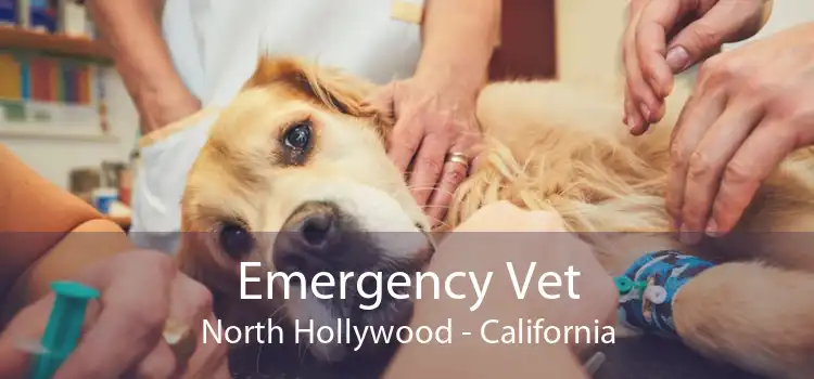 Emergency Vet North Hollywood - California