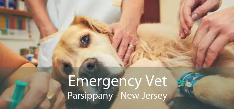 Emergency Vet Parsippany - New Jersey