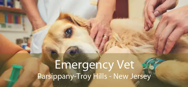 Emergency Vet Parsippany-Troy Hills - New Jersey