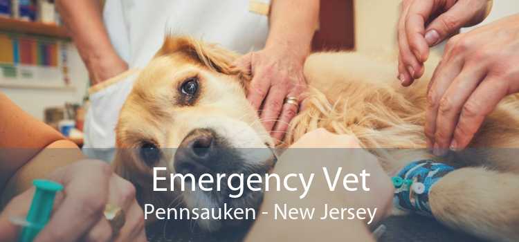 Emergency Vet Pennsauken - New Jersey