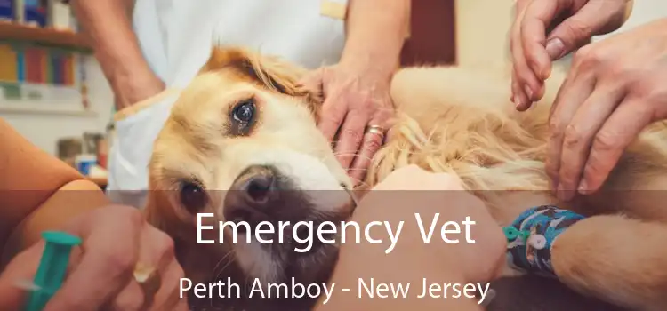 Emergency Vet Perth Amboy - New Jersey