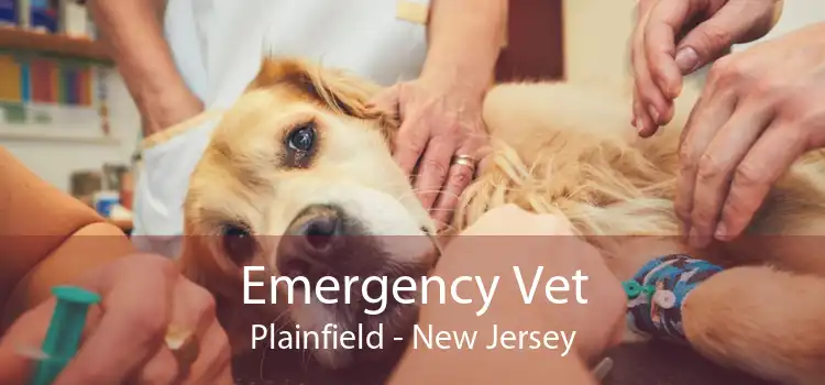 Emergency Vet Plainfield - New Jersey