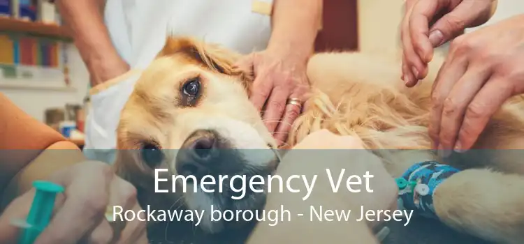 Emergency Vet Rockaway borough - New Jersey