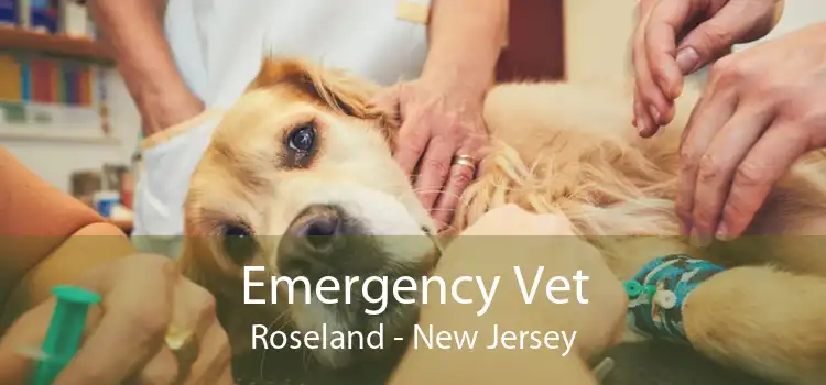 Emergency Vet Roseland - New Jersey