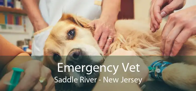 Emergency Vet Saddle River - New Jersey
