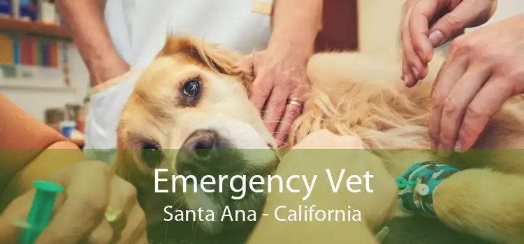 Emergency Vet Santa Ana - California