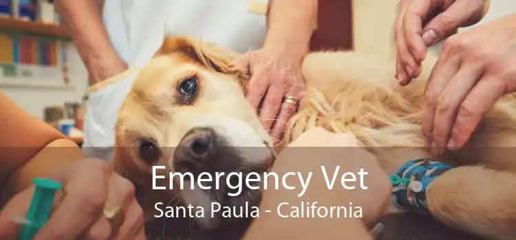 Emergency Vet Santa Paula - California