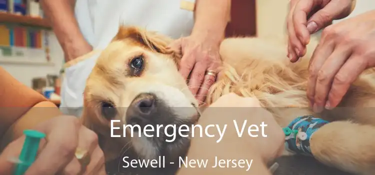 Emergency Vet Sewell - New Jersey